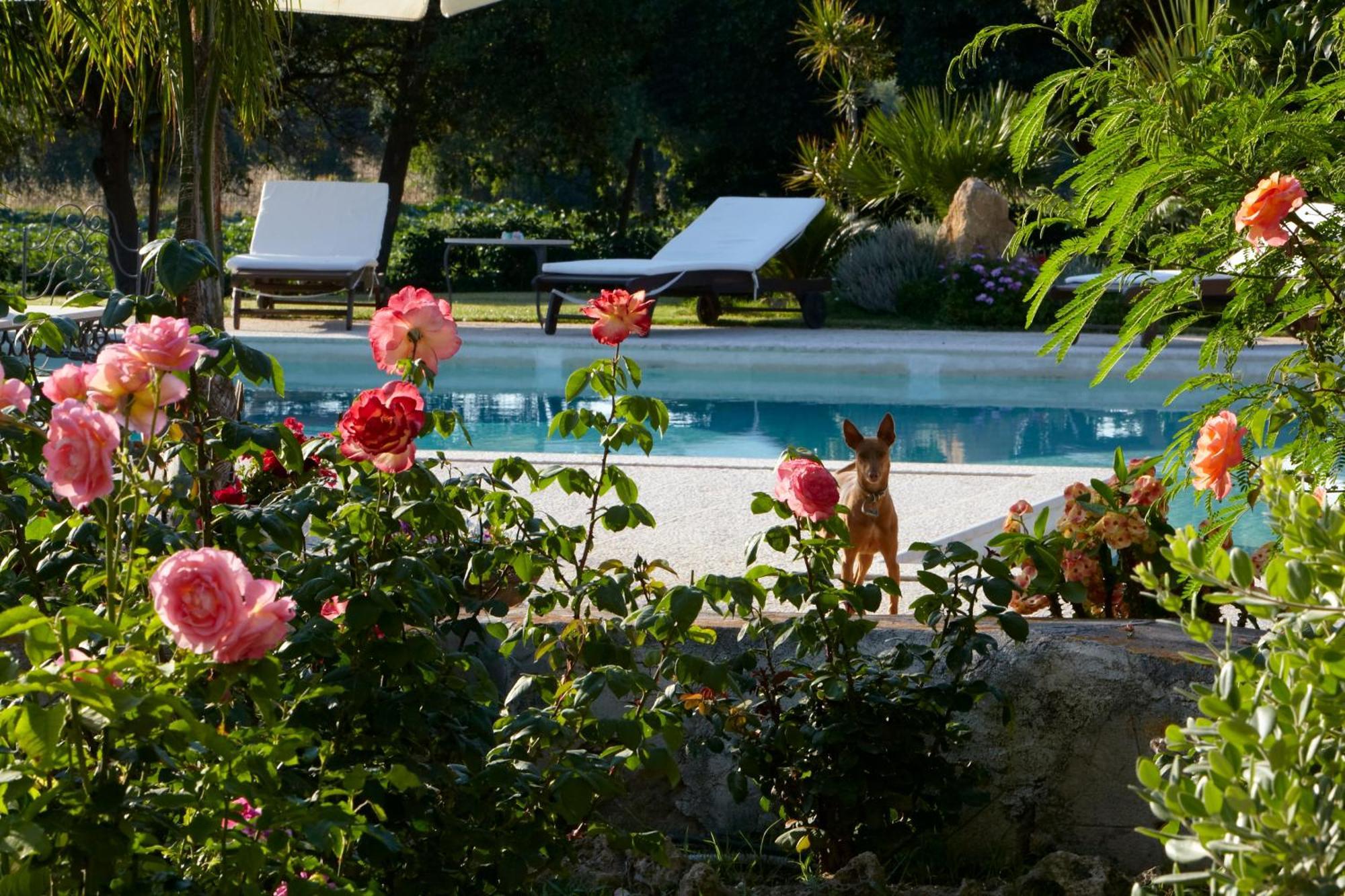 Baglio Sant'Andrea Bed and Breakfast Valderice Exteriör bild